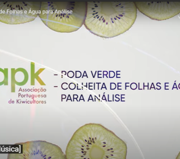 video-poda-verde-colheita-de-folhas-e-aacute-gua-para-an-aacute-lise.png