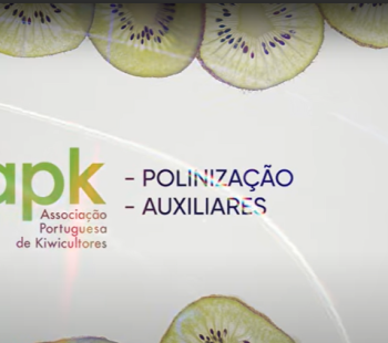 video-poliniza-ccedil-atilde-o-e-auxiliares.png